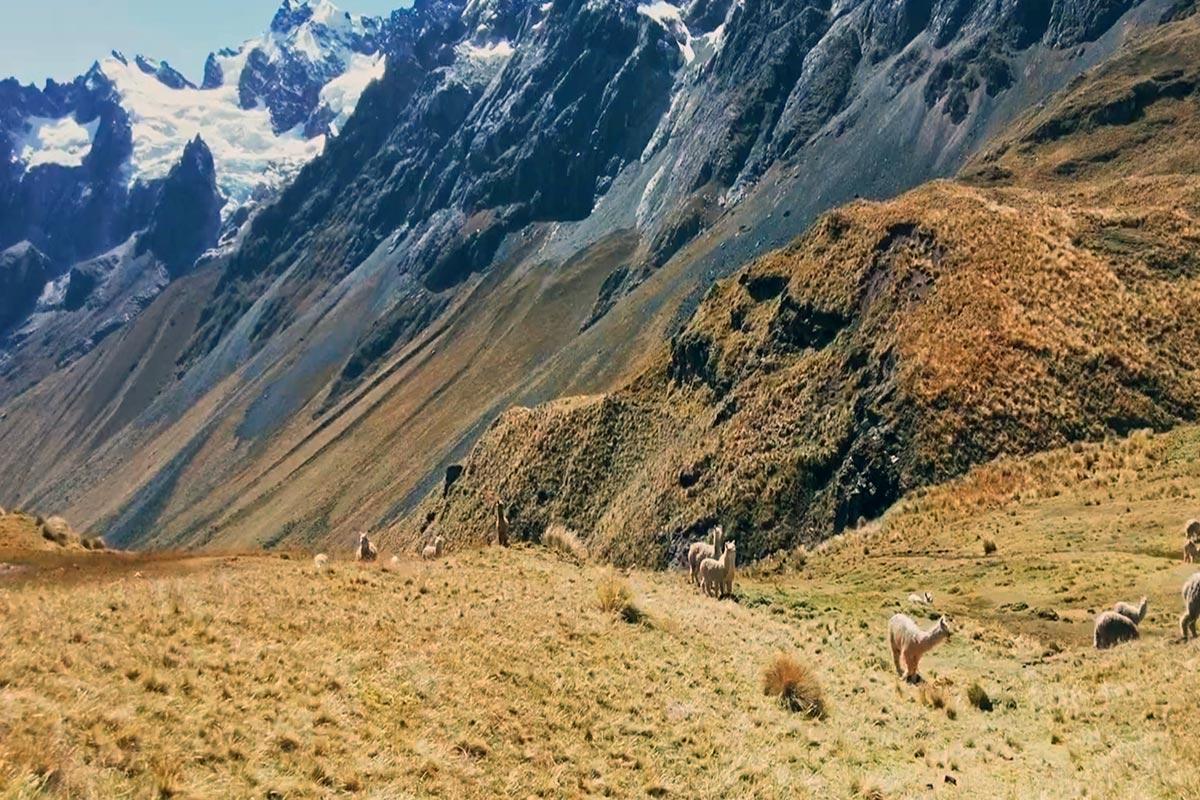 Ancascocha Trek to Machu Picchu